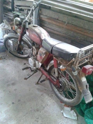 ขายYL2สภาพแห้ง12000บาท