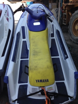 ขายปลาโอเพิ่งออกจากตู้