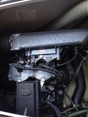 ขายปลาโอเพิ่งออกจากตู้