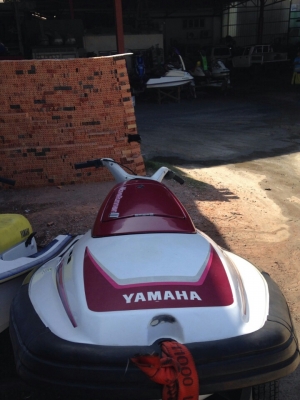 ขายปลาโอเพิ่งออกจากตู้