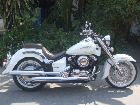 ขาย DRAGSTAR CLASSIC 400 ปี2000 ประกอบเก็บงานใหม่ สีใหม่ขาวมุข ขาย DRAGSTAR CLASSIC 400 ปี2000 ประกอบเก็บงานใหม่ สีใหม่ขาวมุข