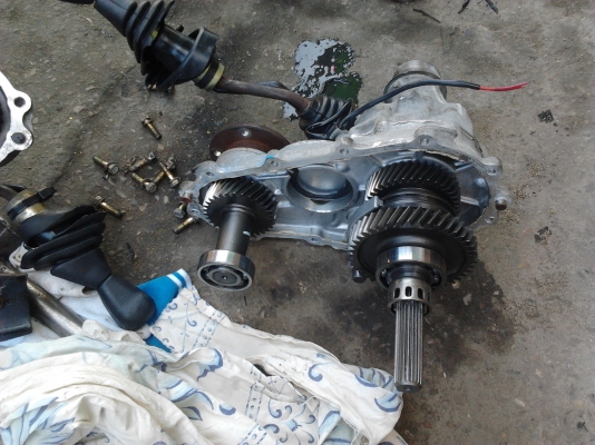 ขายเกียร์ คาริเบียน สำหรับทำเกียร์ฝาก ขายเกียร์ คาริเบียน สำหรับทำเกียร์ฝาก