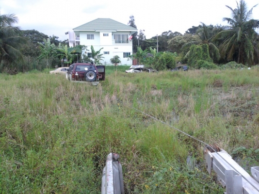 ขายเกียร์ คาริเบียน สำหรับทำเกียร์ฝาก ขายเกียร์ คาริเบียน สำหรับทำเกียร์ฝาก