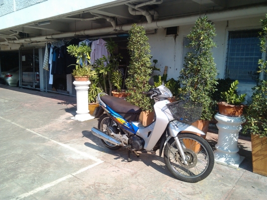 honda wave125s digitalเครื่องดี