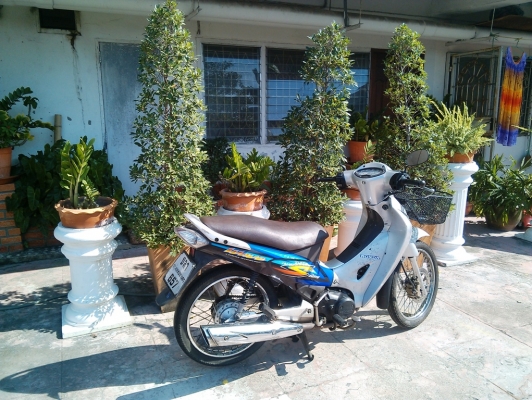 honda wave125s digitalเครื่องดี