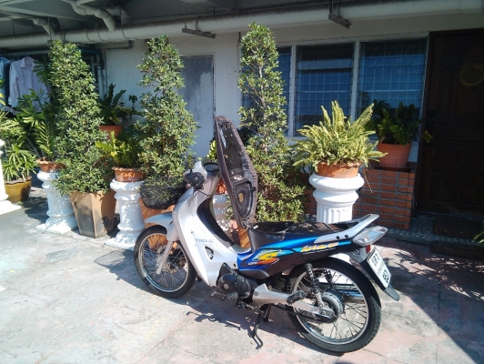 honda wave125s digitalเครื่องดี