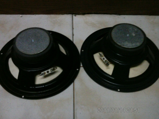 ขายลำบ้านโพง 10นิ้วคู่ละ 350$ 8นิ้วคู่ละ250$