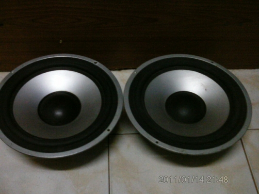 ขายลำบ้านโพง 10นิ้วคู่ละ 350$ 8นิ้วคู่ละ250$