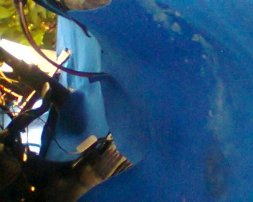 ฝากขาย6ล้ออิสุ ฝากขาย6ล้ออิสุ