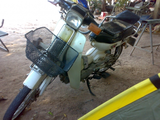 y 80 คุรุ สีขาว เดิมๆ