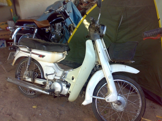 y 80 คุรุ สีขาว เดิมๆ