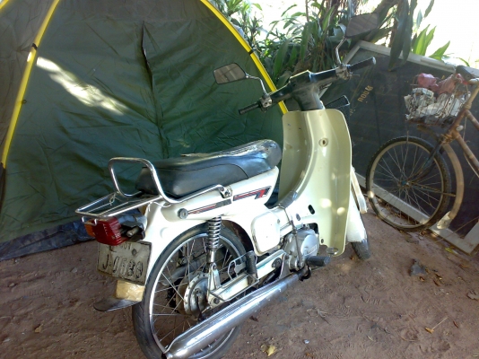 y 80 คุรุ สีขาว เดิมๆ