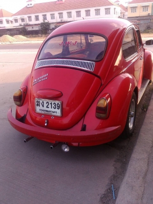 ขายเต่าโบราณ สวยๆๆ