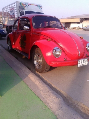 ขายเต่าโบราณ สวยๆๆ