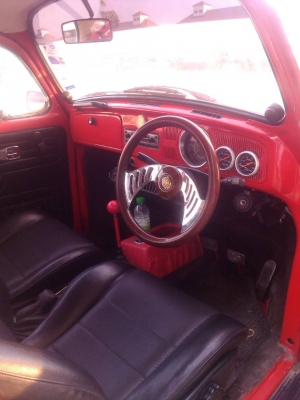 ขายเต่าโบราณ สวยๆๆ