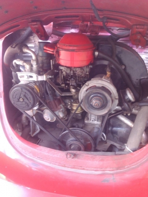 ขายเต่าโบราณ สวยๆๆ