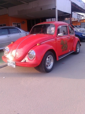 ขายเต่าโบราณ สวยๆๆ