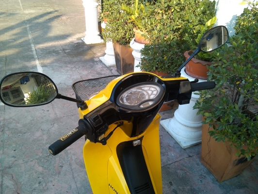 wave125s มีเล่ม