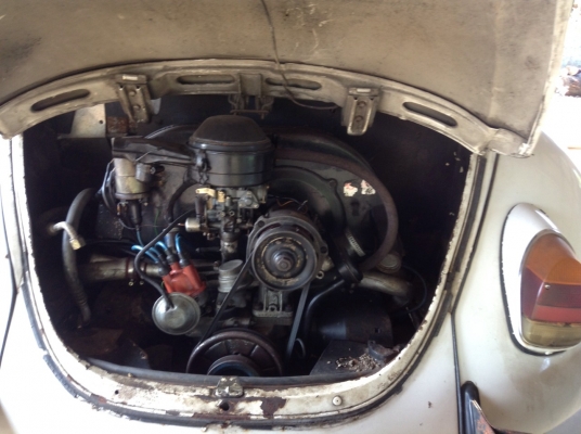 โฟลค์ เต่า