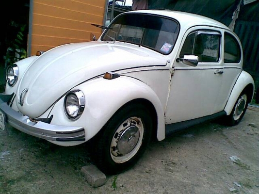 โฟลค์ เต่า