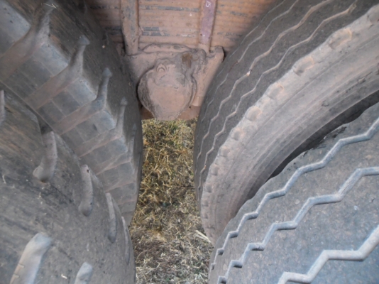 ขายรถบรรทุก 10 ล้อห้นายาวเพลาเดียว ขายรถบรรทุก 10 ล้อห้นายาวเพลาเดียว