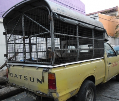 ลูกกระบะสแตนเลส  Datsun ช้างเหยียบ