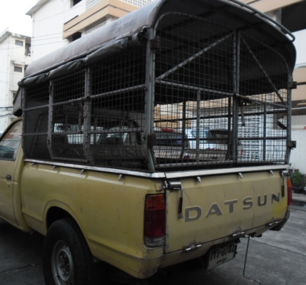 ลูกกระบะสแตนเลส  Datsun ช้างเหยียบ