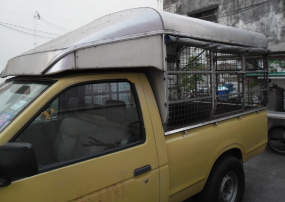 ลูกกระบะสแตนเลส  Datsun ช้างเหยียบ