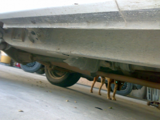 ไมตี้X แคป ปี 94 ไม่เวอร์