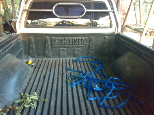 ไมตี้X แคป ปี 94 ไม่เวอร์