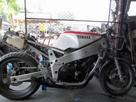 ขายเหมา FZR 750 และ FZR400  ไปปั้นต่อ หรือ ทำอะหลั่ย (มีคลิปให้ชม ต่อรองได้ ส่งได้ทั่วไทยครับ)