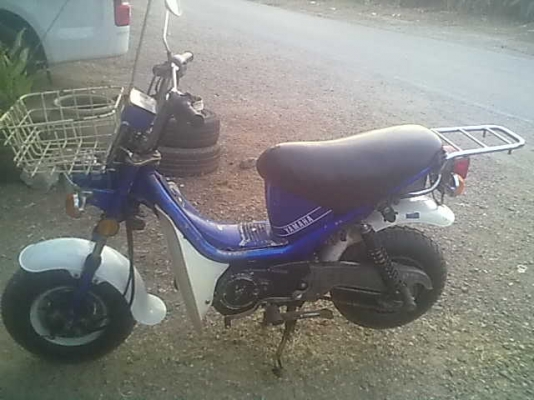 ขายชิบปี้ cdi ไฟเหลี่ยมครบๆ