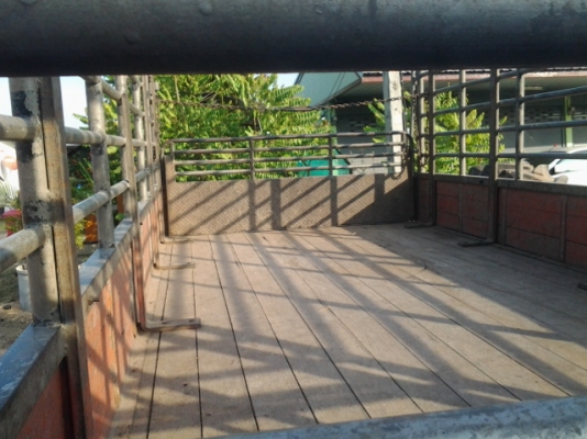 ขาย NPR 120 เฟียงท้าย F