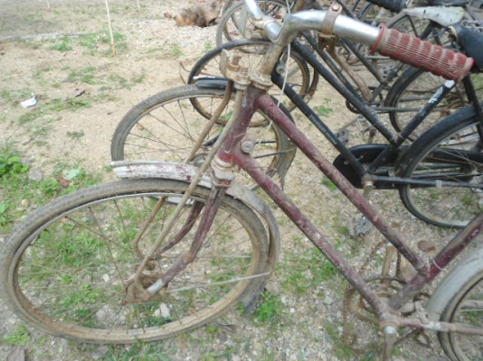 ขายจักรยานโบราณขายเหมาทั้งหมด 10 กว่าคัน