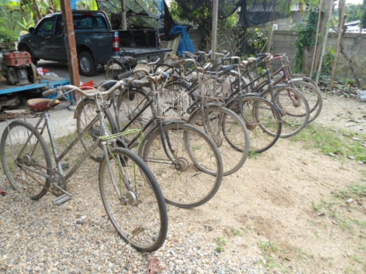 ขายจักรยานโบราณขายเหมาทั้งหมด 10 กว่าคัน