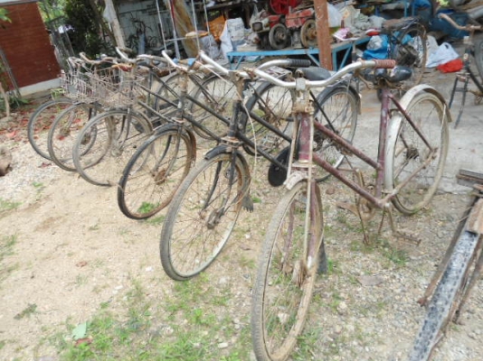 ขายจักรยานโบราณขายเหมาทั้งหมด 10 กว่าคัน
