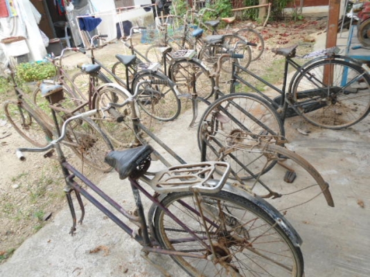 ขายจักรยานโบราณขายเหมาทั้งหมด 10 กว่าคัน