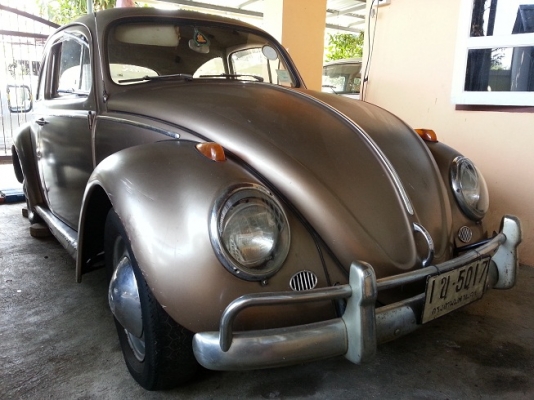 ขายเต่าตาหวาน ปี 60 กันชนรั้ว ถังอูฐ ขายเต่าตาหวาน ปี 60 กันชนรั้ว ถังอูฐ