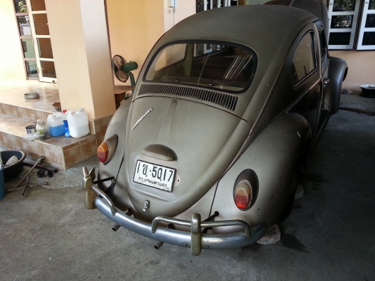 ขายเต่าตาหวาน ปี 60 กันชนรั้ว ถังอูฐ ขายเต่าตาหวาน ปี 60 กันชนรั้ว ถังอูฐ