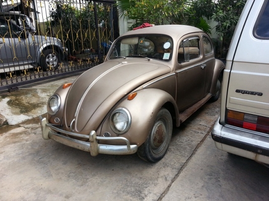 ขายเต่าตาหวาน ปี 60 กันชนรั้ว ถังอูฐ