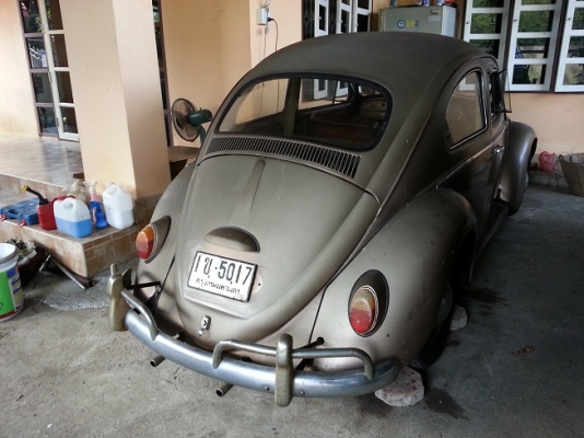 ขายเต่าตาหวาน ปี 60 กันชนรั้ว ถังอูฐ ขายเต่าตาหวาน ปี 60 กันชนรั้ว ถังอูฐ