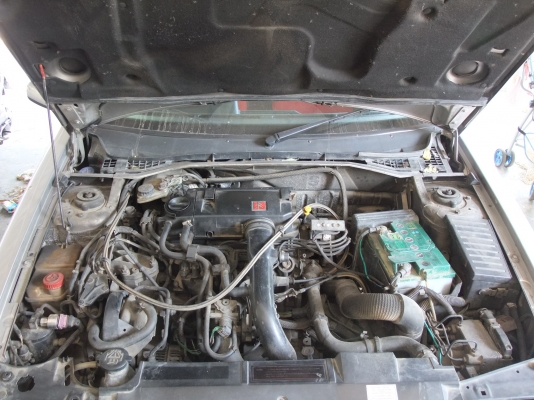 ขายรถ CITROEN ZX 1.8 i ปี 97 ราคา 99000 บาท ขายรถ CITROEN ZX 1.8 i ปี 97 ราคา 99000 บาท