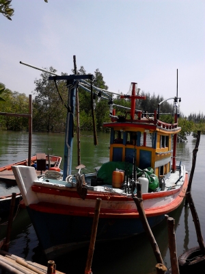 ขายเรือตกปลา ลากหมึก วางอวนปู ขายเรือตกปลา ลากหมึก วางอวนปู