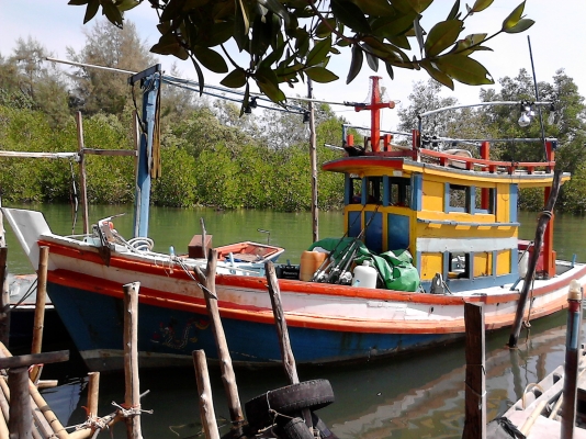 ขายเรือตกปลา ลากหมึก วางอวนปู ขายเรือตกปลา ลากหมึก วางอวนปู