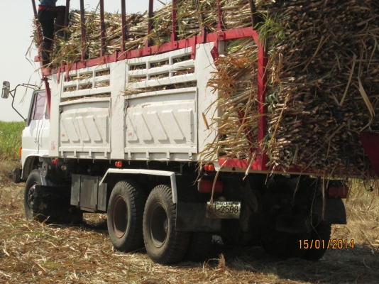 HINO-227-เครื่องEM100-แม่ลูก--ลูกไม่ดั้ม--กะบะสามมิตรสภาพสวยๆพร้อมใช้---1,150,000--- HINO-227-เครื่องEM100-แม่ลูก--ลูกไม่ดั้ม--กะบะสามมิตรสภาพสวยๆพร้อมใช้---1,150,000---