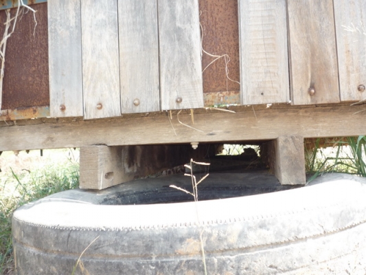 ขายกระบะ ไม้ 6 ล้อ มิตซู canter ยาว