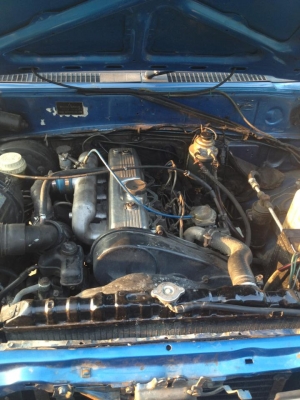 L200 สวยๆ ครับผม L200 สวยๆ ครับผม