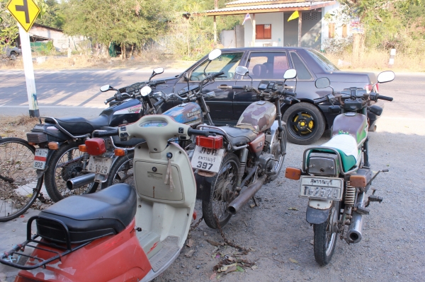 KR150-RXS-TRS-GTO ขายเดี่ยวหรือขายยกฝูง