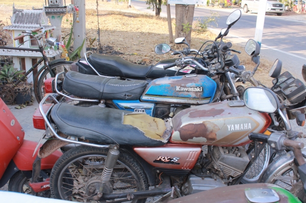 KR150-RXS-TRS-GTO ขายเดี่ยวหรือขายยกฝูง