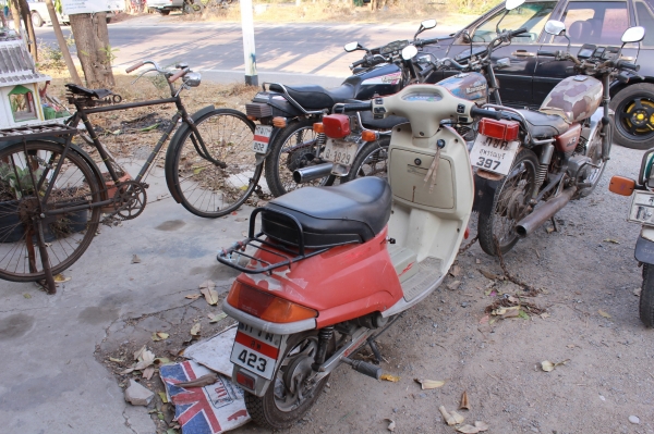 KR150-RXS-TRS-GTO ขายเดี่ยวหรือขายยกฝูง